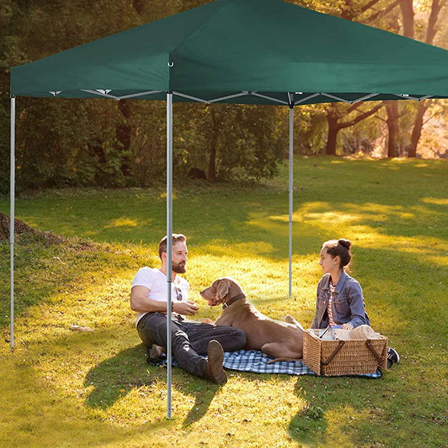 Green Outdoor 10' x 10' Pop Up Canopy Tent,Wheeled Bag Camping Garden Pavilion Pop Up Gazebo Canopy