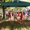 Green Outdoor 10' x 10' Pop Up Canopy Tent,Wheeled Bag Camping Garden Pavilion Pop Up Gazebo Canopy