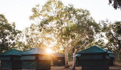 Why do more and more people choose to go camping by car?
