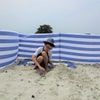 Navy Theme Wood Poles Windbreak Beach Wind Screen Privacy Windblocker