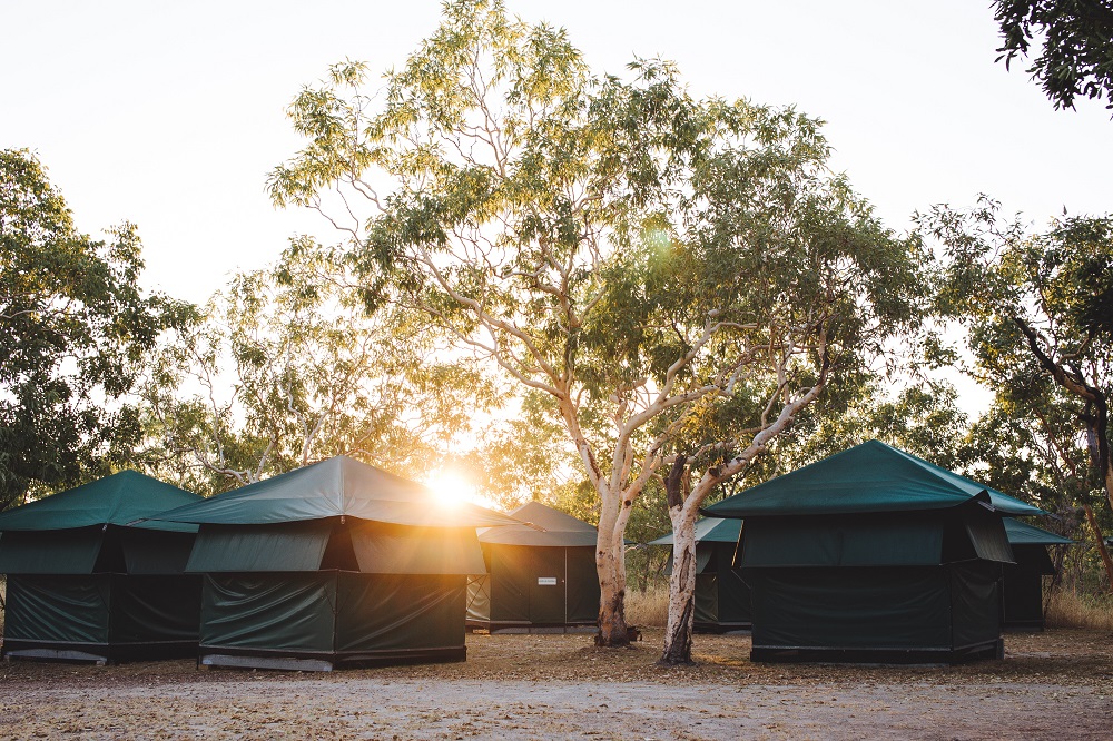 camping tent