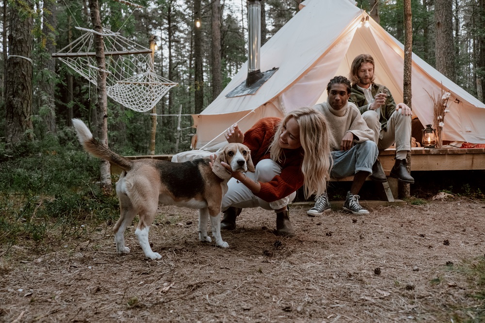 camp