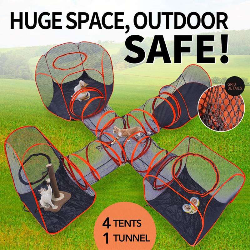 cat dog playhouse 