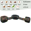 Set of 5 Outdoor Rainbow Cat Enclosures Pet Playground Kitty Small Animals Rabbit Guinea Pig Playpen Square Hexagon Tent with Tunnel