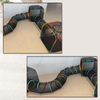 Set of 5 Outdoor Rainbow Cat Enclosures Pet Playground Kitty Small Animals Rabbit Guinea Pig Playpen Square Tent with Toy Tunnel