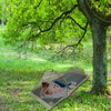 Portable Lightweight One Person Camping Tent Inside With Mesh Netting