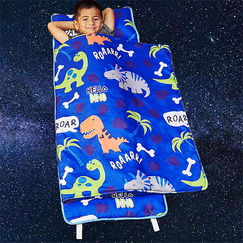 Dino kids sleeping bag