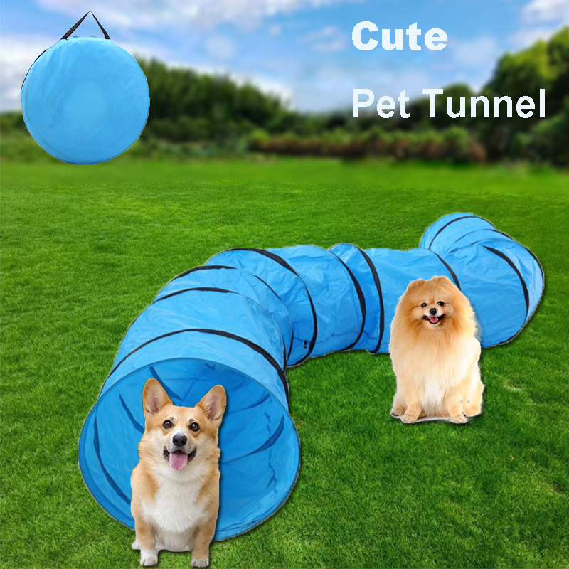 Dog tunnel