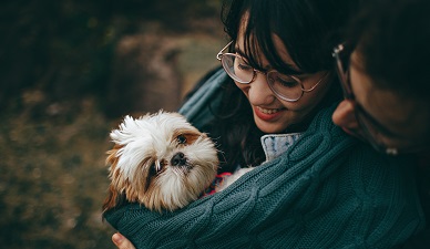 The dog is pregnant, will you set up a "delivery room"?
