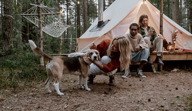 How to choose the right pet tent