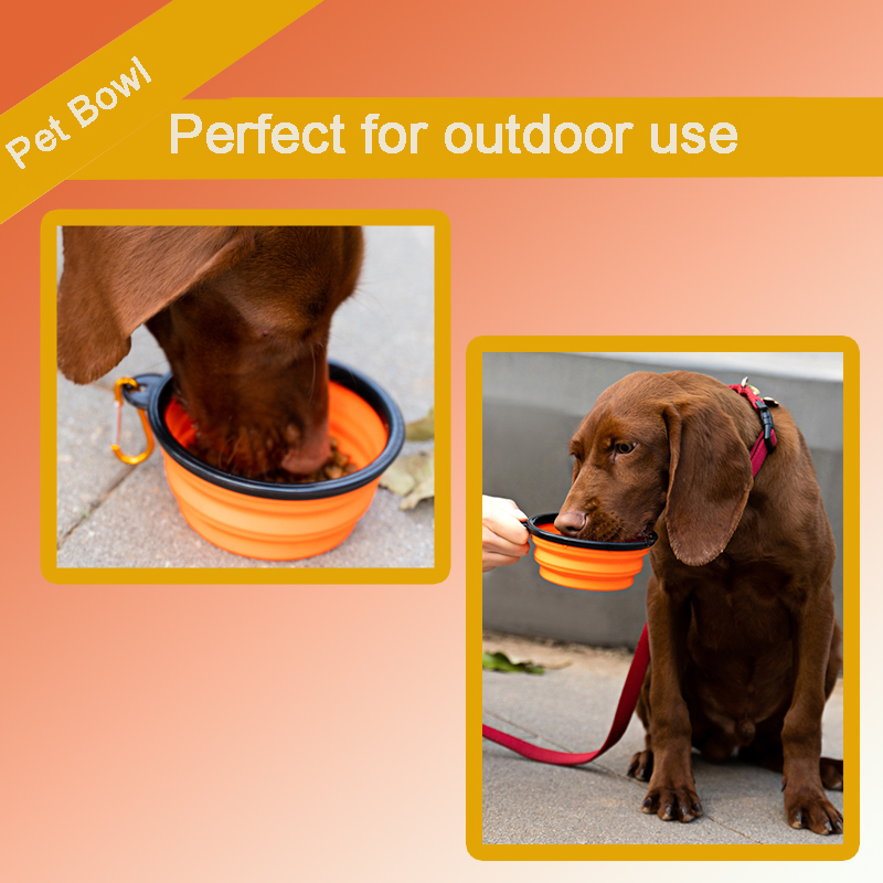 Wholesale Collapsible Dog Bowl Portable Foldable Travel Water Bowl Food Dishes with Carabiner Clip