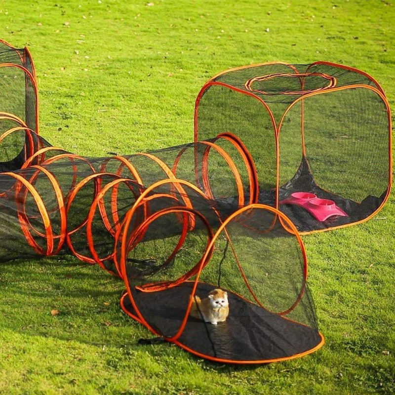 cat dog playhouse 
