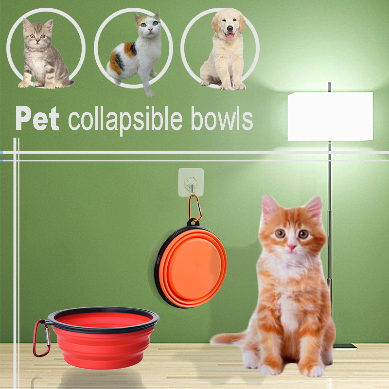 dog bowl